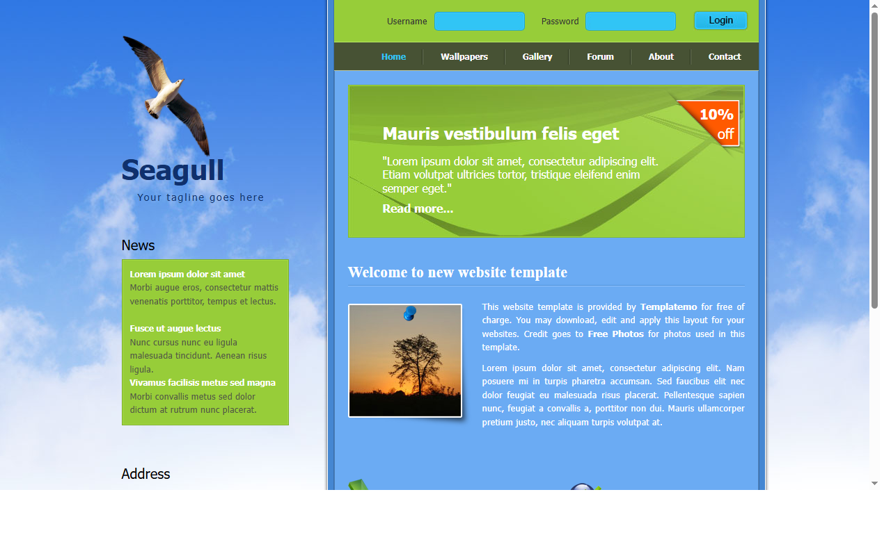 Seagull