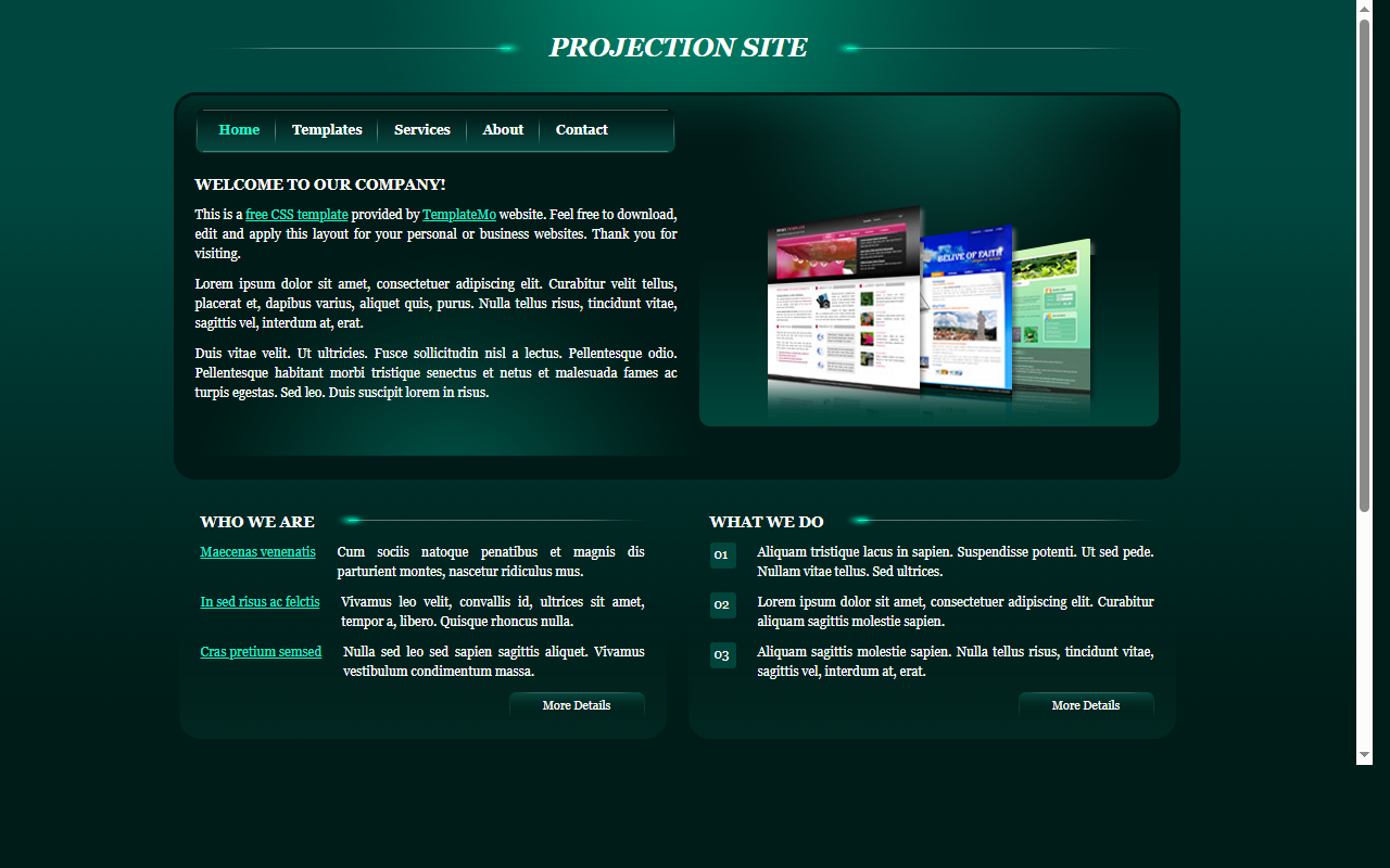 Projection