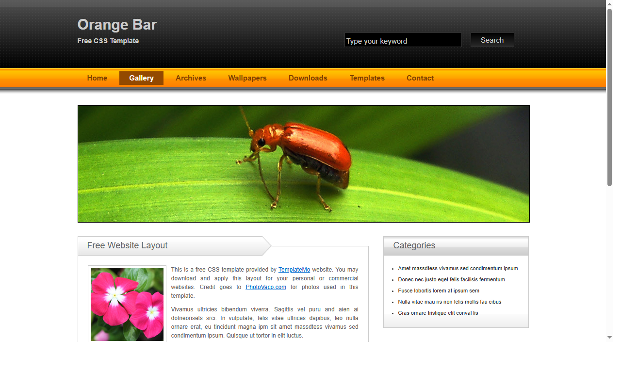 Orange bar