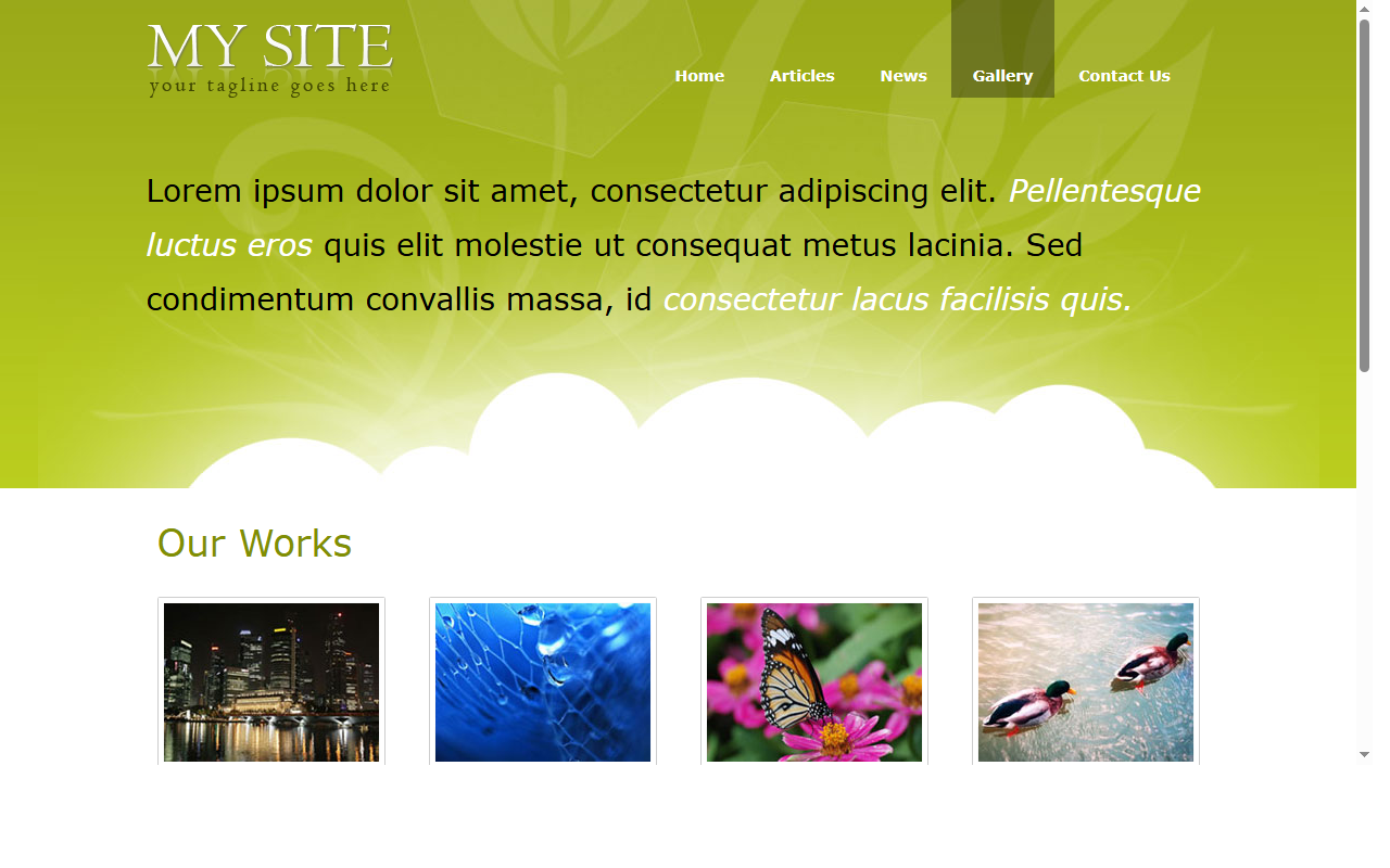 Portfolio