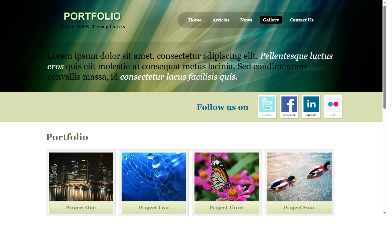 Portfolio
