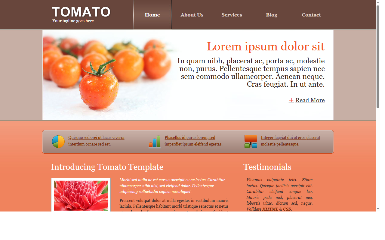 Tomato