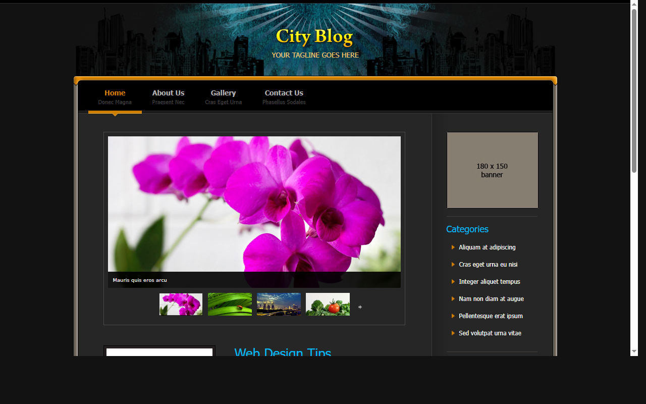 City blog