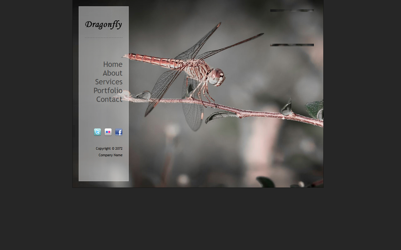 Dragonfly