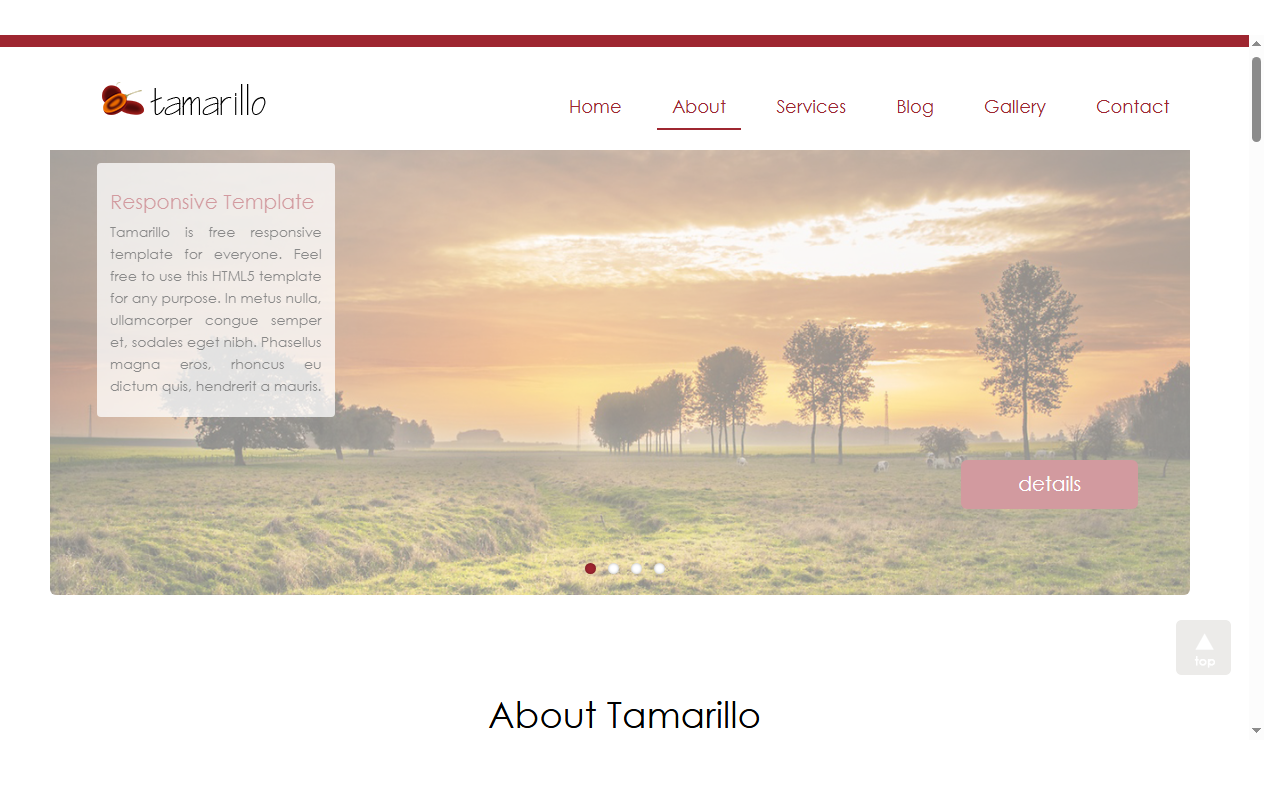 Tamarillo