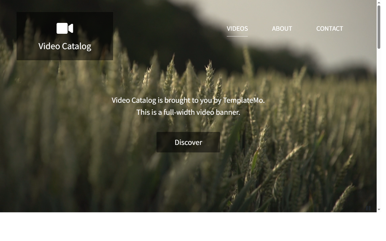Video catalog
