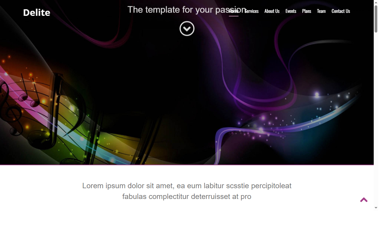 Delite-music-html5-bootstrap-responsive-web-template